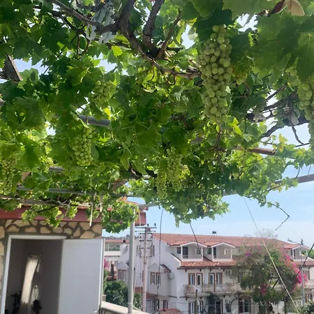 Kristal Ortaca (Mugla)